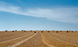 Heuballen unter Sommerhimmel