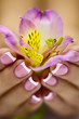 Freesia in hands