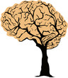 Brain Tree