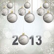 2013 year