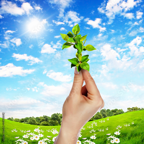 Foto: Hands holding green sprouts Hands holding green sprouts