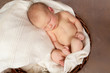 Photo: Basket baby Basket baby