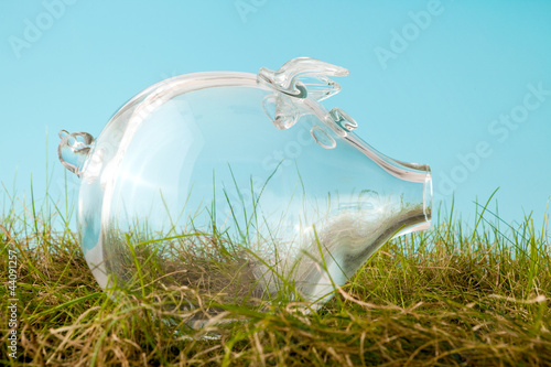 Photo: Empty piggy bank in grass Empty piggy bank in grass