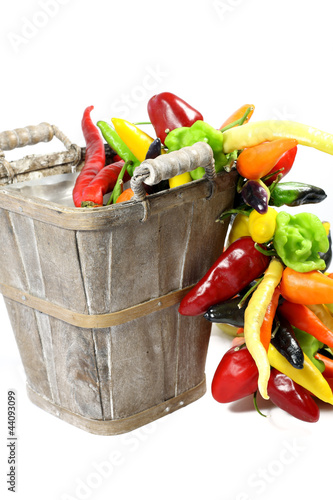 Photo: Bunte Schärfe Bunte Schärfe