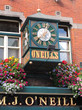 Dublin Irland Innenstadt Blumen