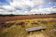 Foto: Lüneburger Heide Landschaft Lüneburger Heide Landschaft