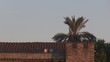 Ancient wall in twilight