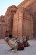 Photo: Kamel vor Ruine in Petra Kamel vor Ruine in Petra