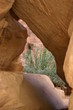 Photo: Durchblick Durchblick