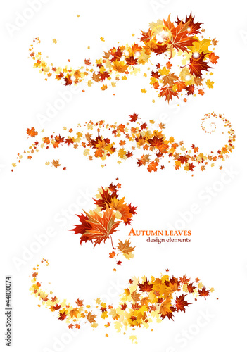Vector: Autumn leaves design elements Autumn leaves design elements