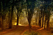 Herbstfarben