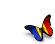 Moldavian flag butterfly, isolated on white background