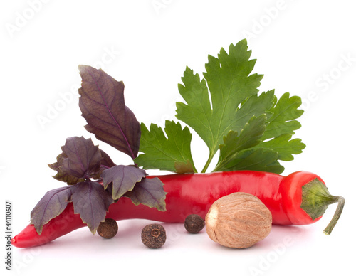 Photo: Hot red chili or chilli pepper and aromatic herbs leaves still l Hot red chili or chilli pepper and aromatic herbs leaves still l