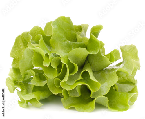 Photo: Fresh lettuce salad leaves bunch Fresh lettuce salad leaves bunch