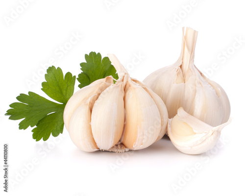 Foto: Garlic bulb and parsley leaf Garlic bulb and parsley leaf