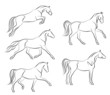 Vector: Horse Horse
