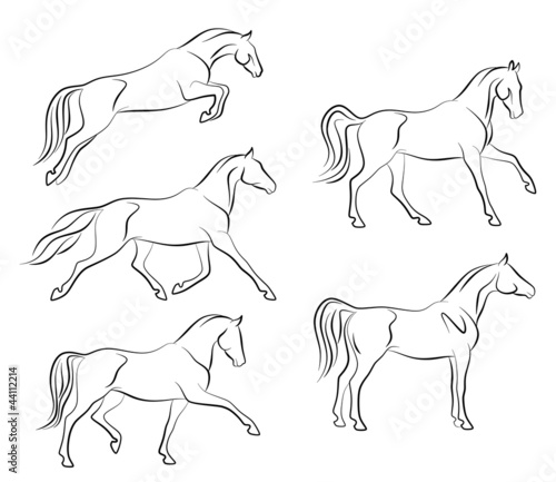 Vector: Horse Horse