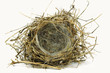 Vogelnest