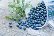 fresh blueberry