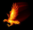 Flaming Hawk
