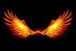Burning Wings