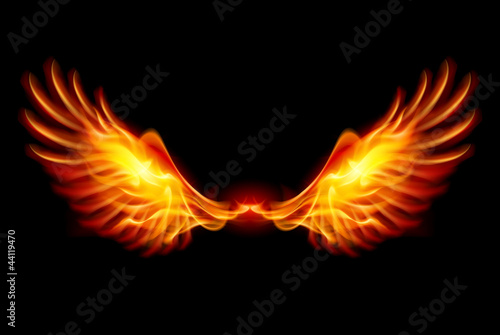 Vector: Burning Wings Burning Wings