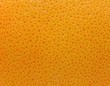 orange peel close up