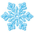 Eisblume Eiskristall Schneeflocke Weihnachten