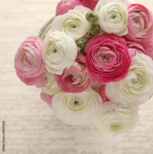 Photo: pink and white ranunculus with script pink and white ranunculus with script