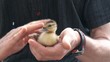 amore per gli animali