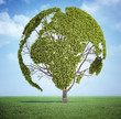 Illustrazione: World Map tree World Map tree