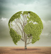  tree with the world map in a desert