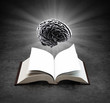 Illustration: Open book with a glowing brain Open book with a glowing brain