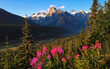 Scenic wilderness in Banff National Park, Alberta, Canada