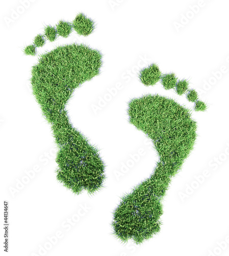 Illustration: Ecological footprints Ecological footprints