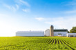 American Farmland