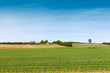 American Farmland