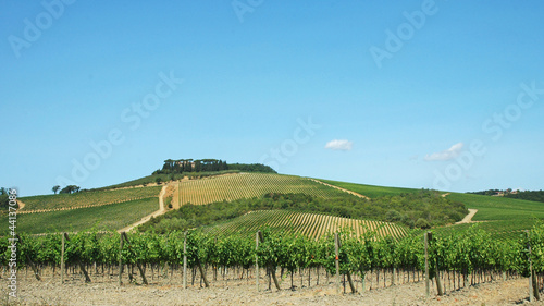 Photo: Dolci colline toscane, Toscana, Italia Dolci colline toscane, Toscana, Italia