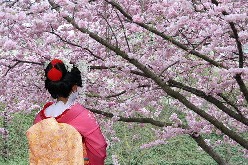 Photo: Geisha and blooming Sakura tree Geisha and blooming Sakura tree