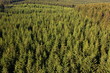 Foto: Fernblick über den Arnsberger Wald Sauerland NRW Deutschland Fernblick über den Arnsberger Wald Sauerland NRW Deutschland