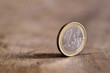 euro