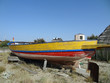 Pêche