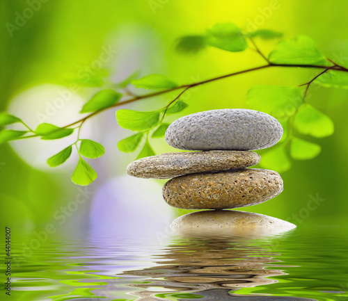 Photo: Wellness 2 Wellness 2