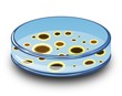 Petri Dish With Germs