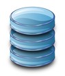 Glass Database Data Storage Icon