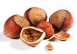 nocciole