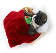 puppy bedtime