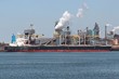 Bulker01