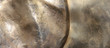 metal