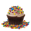 Photo: Chocolate Cupcake with Sprinkles Chocolate Cupcake with Sprinkles
